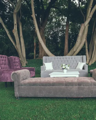 Sala lounge de terciopelo morado y gris frente a árboles de troncos retorcidos
